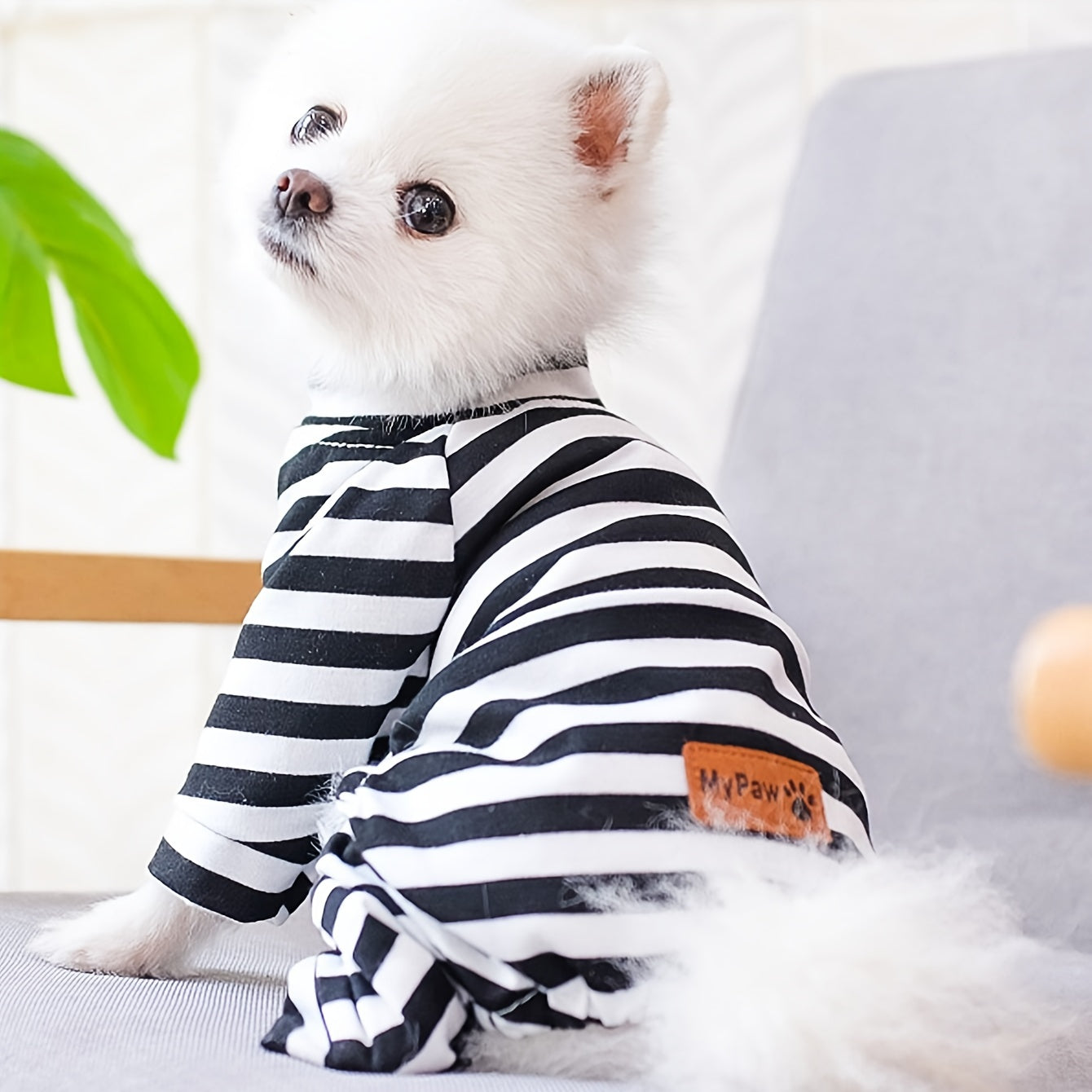 Pyjama rayé confortable pour petits chiens et chats - Tissu extensible doux pour un confort ultime