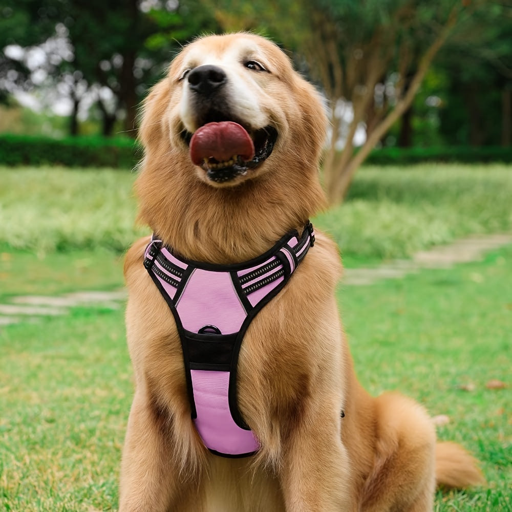 Adjustable No-Pull Dog Harness with Padded Vest and Dual Leash Clips - Prevents Choking and Provides Comfortable Walking Experience