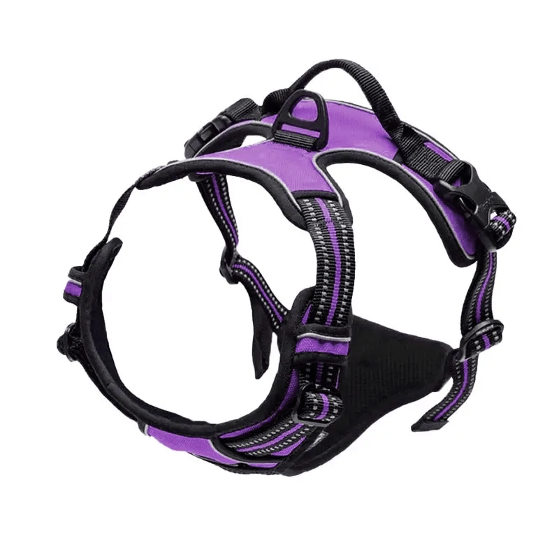 Adjustable No-Pull Dog Harness with Padded Vest and Dual Leash Clips - Prevents Choking and Provides Comfortable Walking Experience