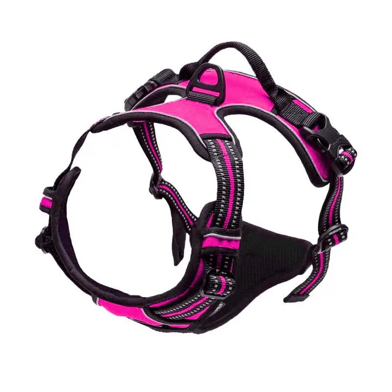 Adjustable No-Pull Dog Harness with Padded Vest and Dual Leash Clips - Prevents Choking and Provides Comfortable Walking Experience